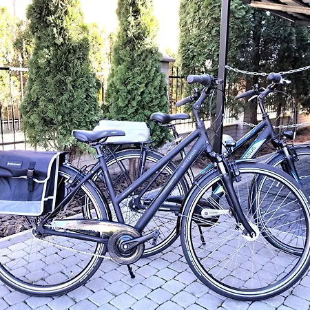 Pionow Wawa - Adults Only