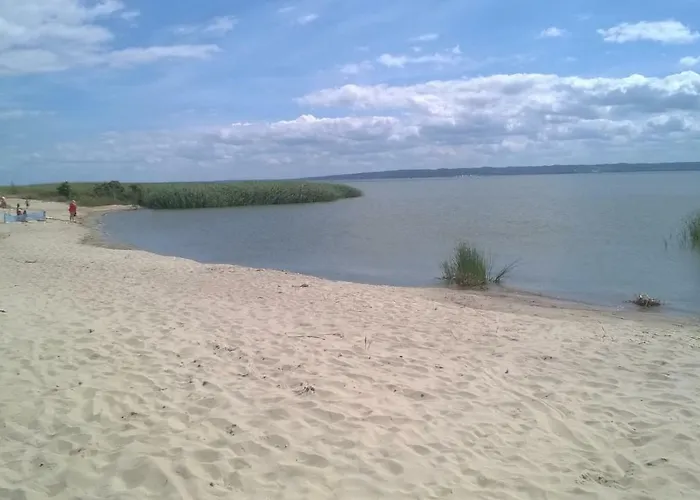 Pionow Wawa - Adults Only *